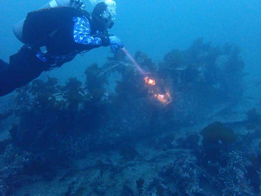 Sunk Plane at Smitty’s Cove in Whittier, AK (01/20/2018)