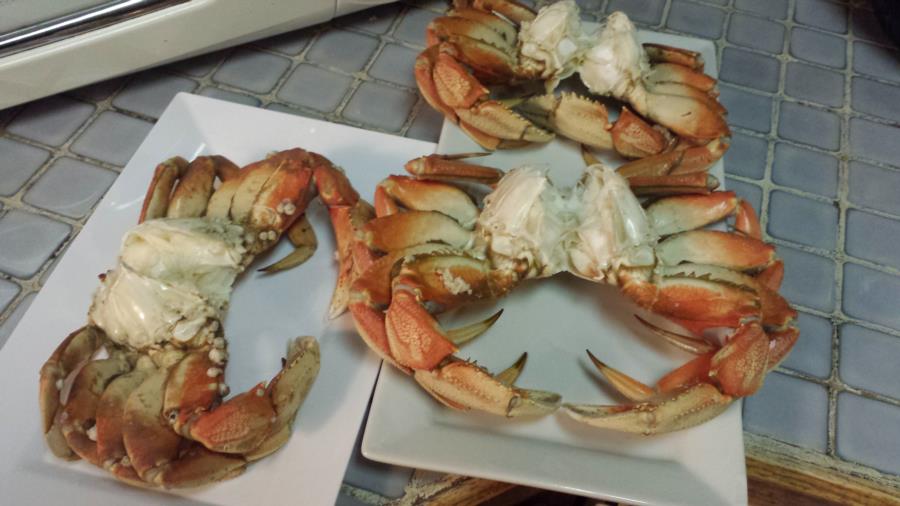 Dungeness Crab Dinner