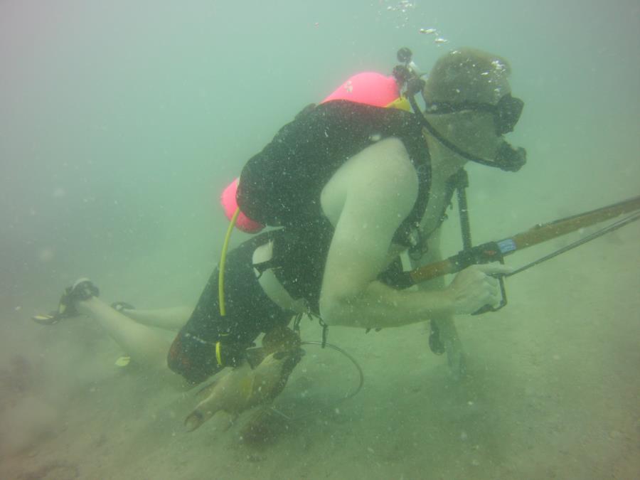 Spearfishing