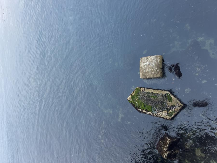Spot