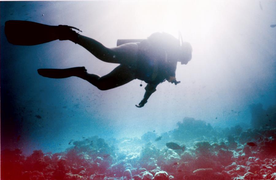 Diving Indian Ocean