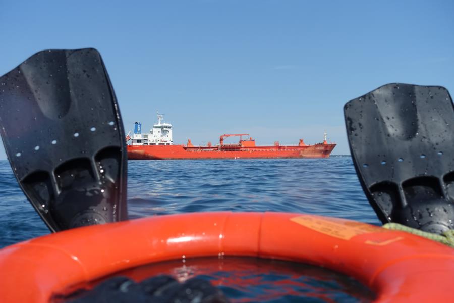 Playing in Lake Ontario-Tiller wreck