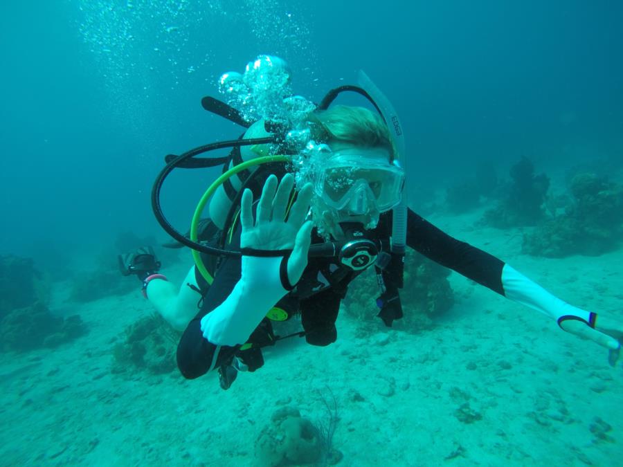 Diving in Roatan