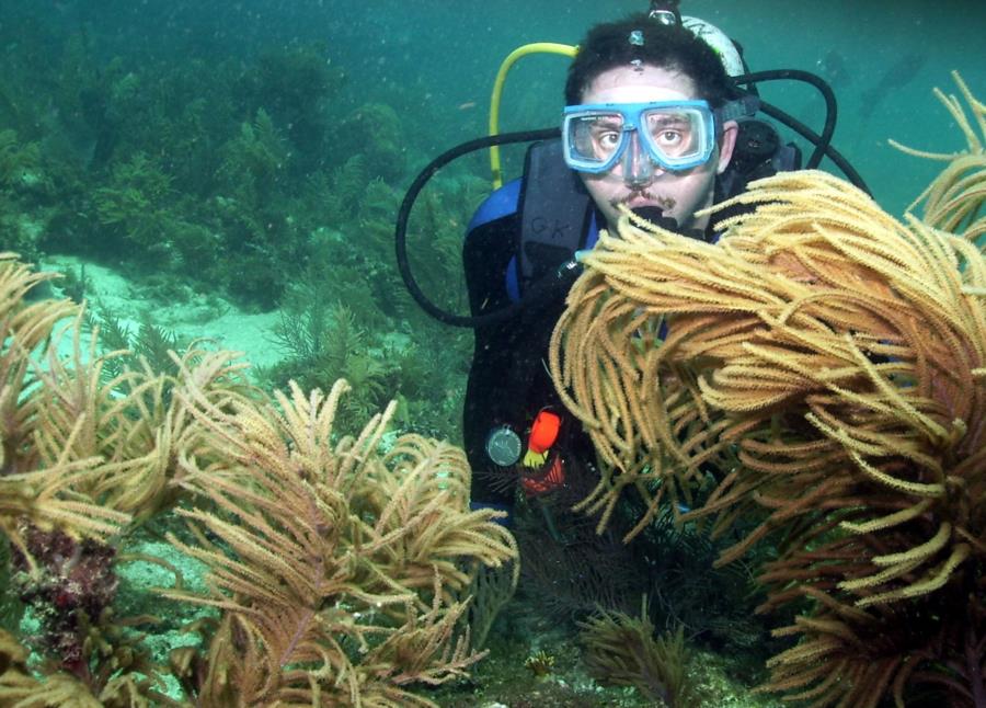 key largo french reef