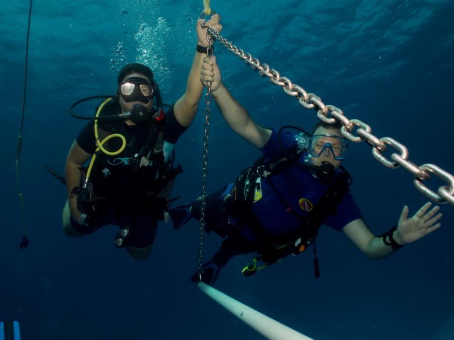 Just hanging around