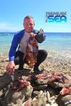 Hunting lionfish at Playa Frans, Bonaire