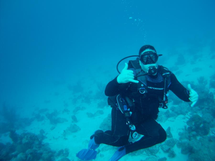 dive in Aruba