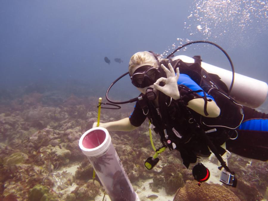 Lionfish Hunt Down South