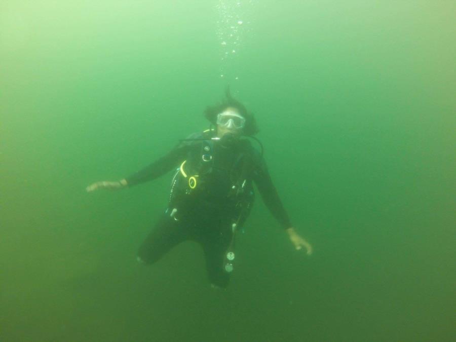 Diving again