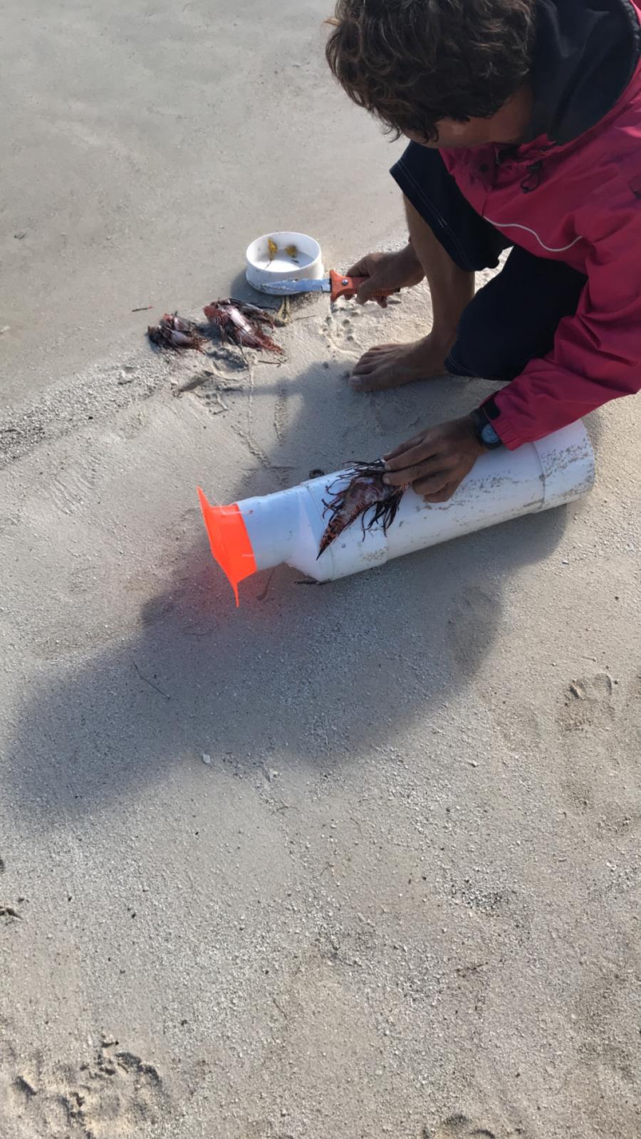 Gypsea Divers(Mahahual Mexico)