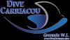 Divecarriacou’s Profile Photo