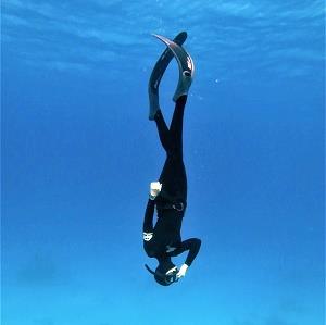 FreedivingAcademy’s Profile Photo