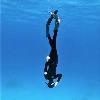 FreedivingAcademy’s Profile Photo