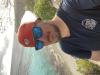 RichieRich1042’s Profile Photo