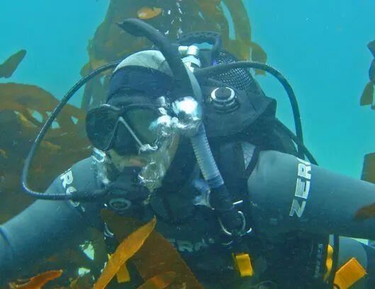 Peeping thru the Kelp