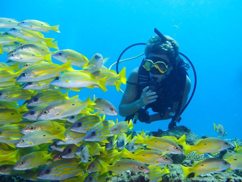 Awesome diving in Africa