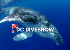 usdiveshows’s Profile Photo