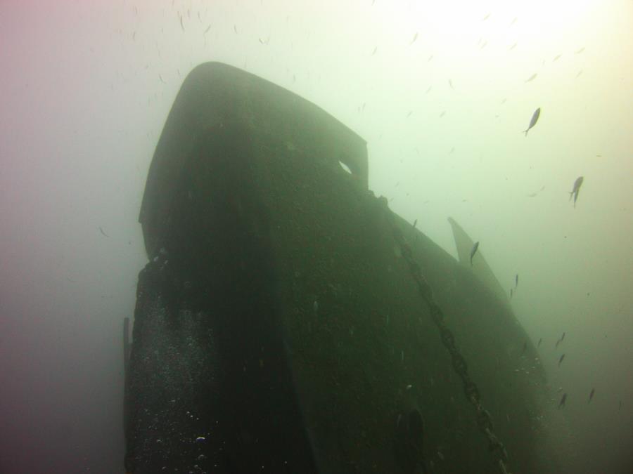 Ana Cecilia wreck