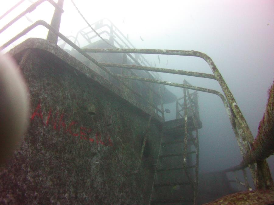 Ana Cecilia wreck