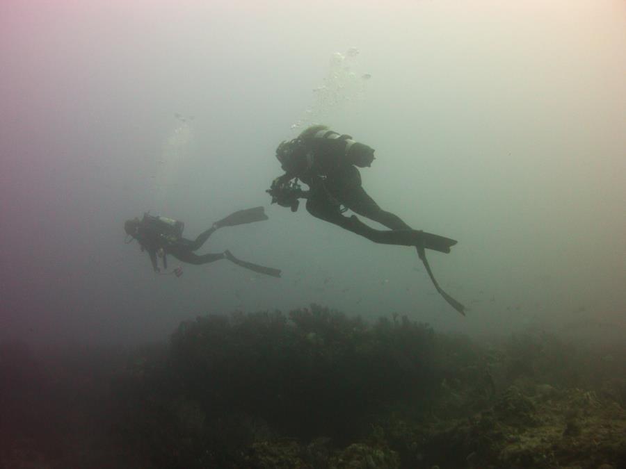 Diver on the boat Devocean