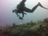 Diver on the boat Devocean