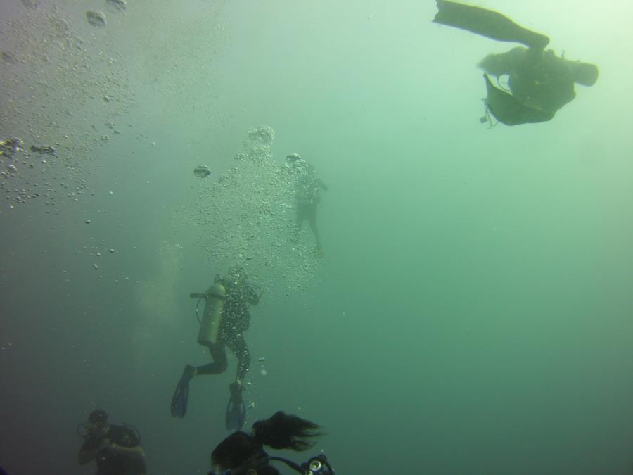 Dive buddys