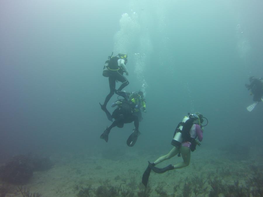 scuba works dive