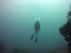scuba works dive
