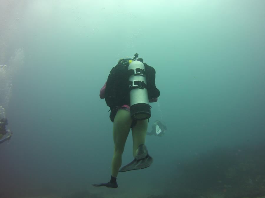 scuba works dive