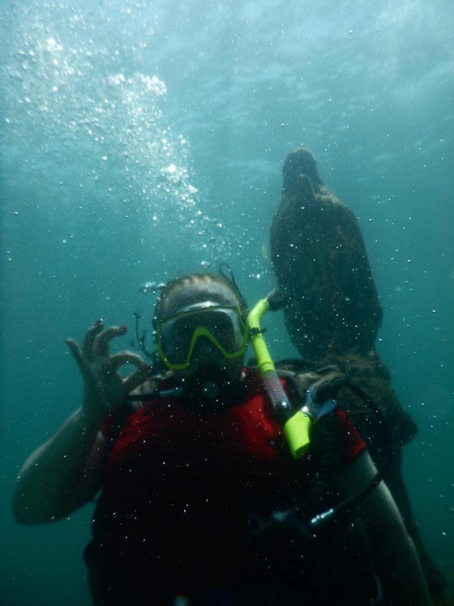 Coral Island wreck, Mx.