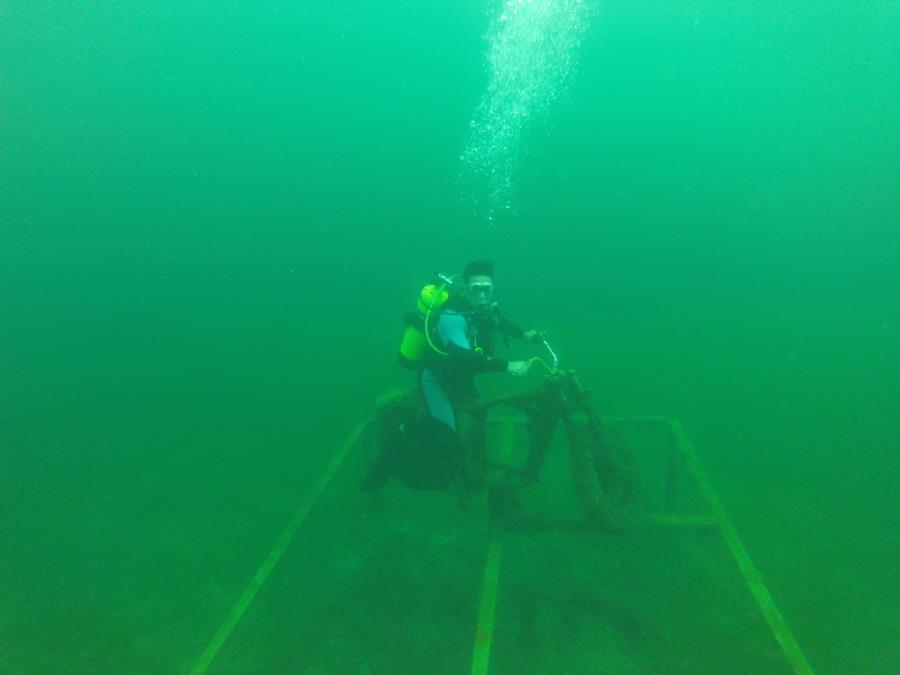 Underwater Cruisin’