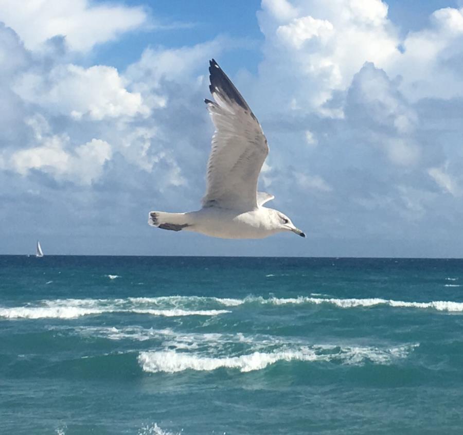 Russell_G’s Profile Photo