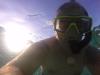 Cayman snorkel