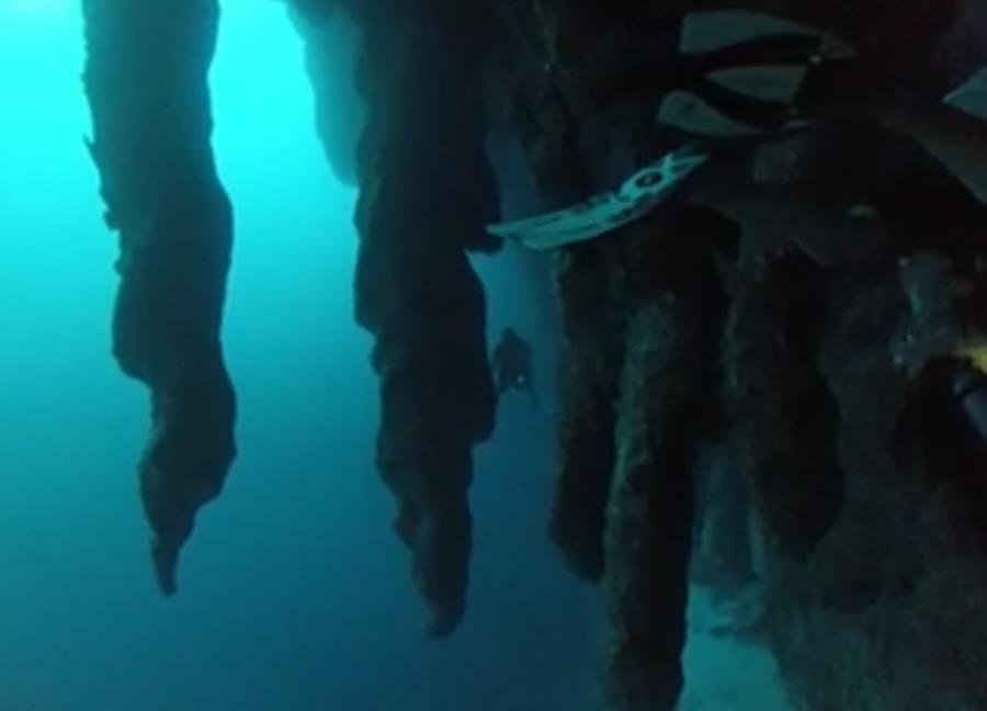 The Great Blue Hole, Belize