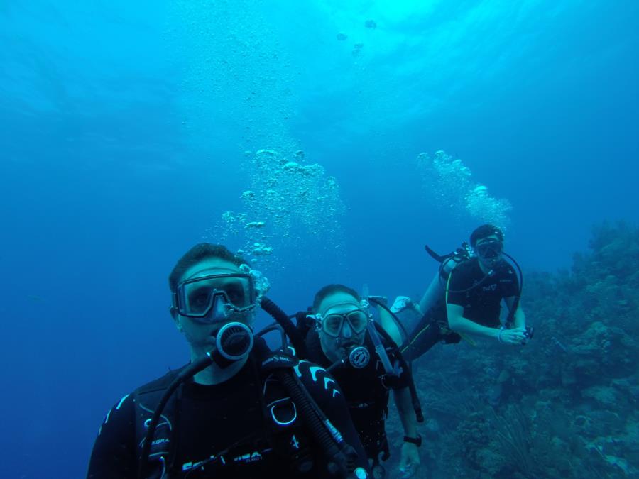 Belize Dive