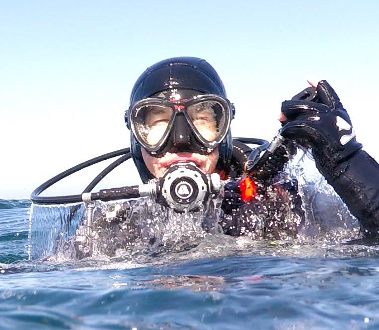 Monterey Bay Surfacing