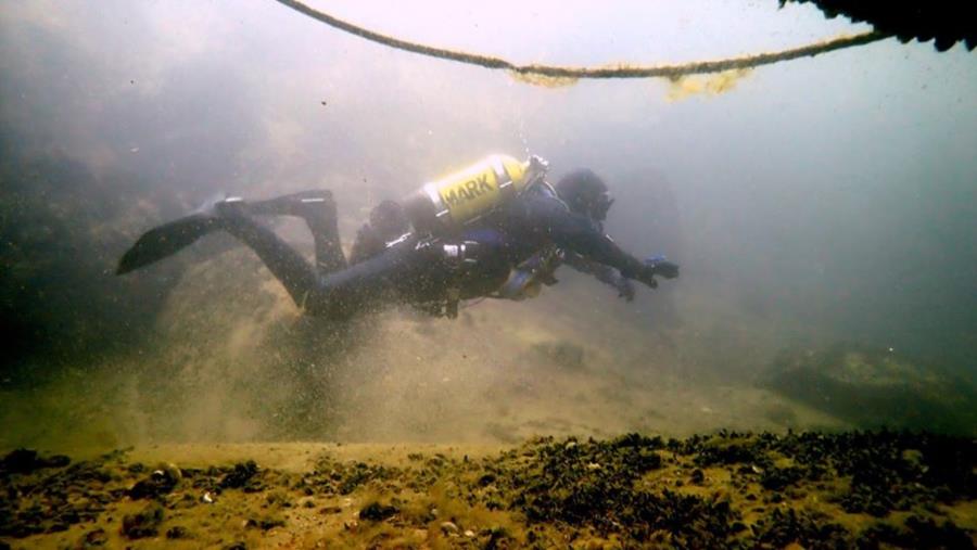 Me diving in my back yard (Dutch Springs)