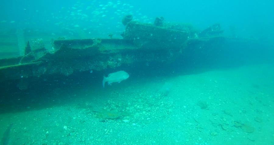 Indra Wreck