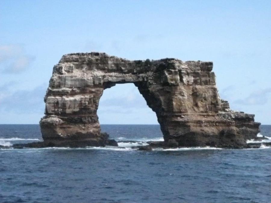 Darwin’s Arch