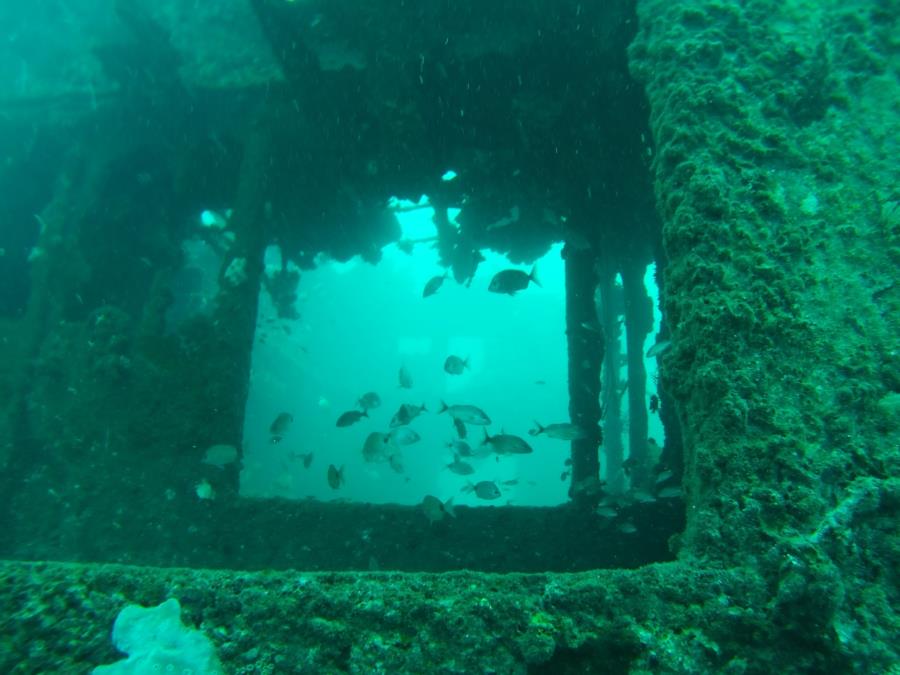 Hyde Wreck