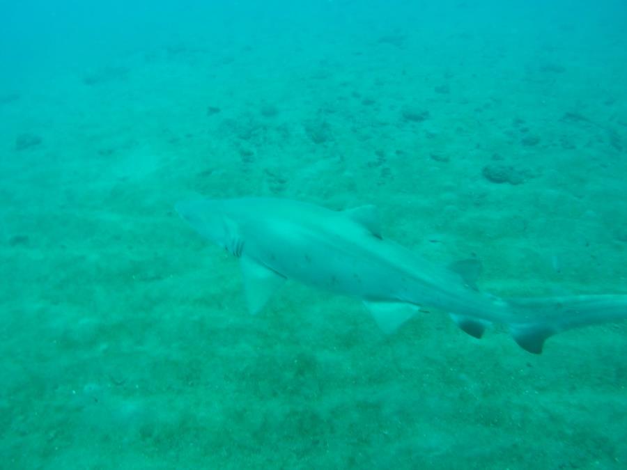 Hyde Wreck