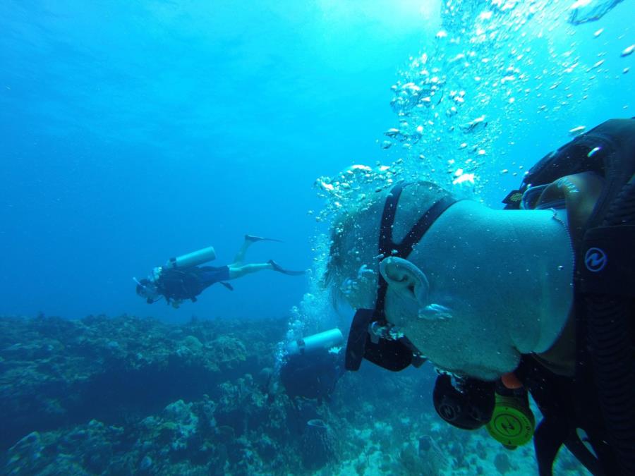 Diving the Caribbean