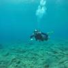 Diving in Crete