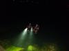 Night Dive