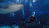 Atlanta Aquarium Whale Shark Dive