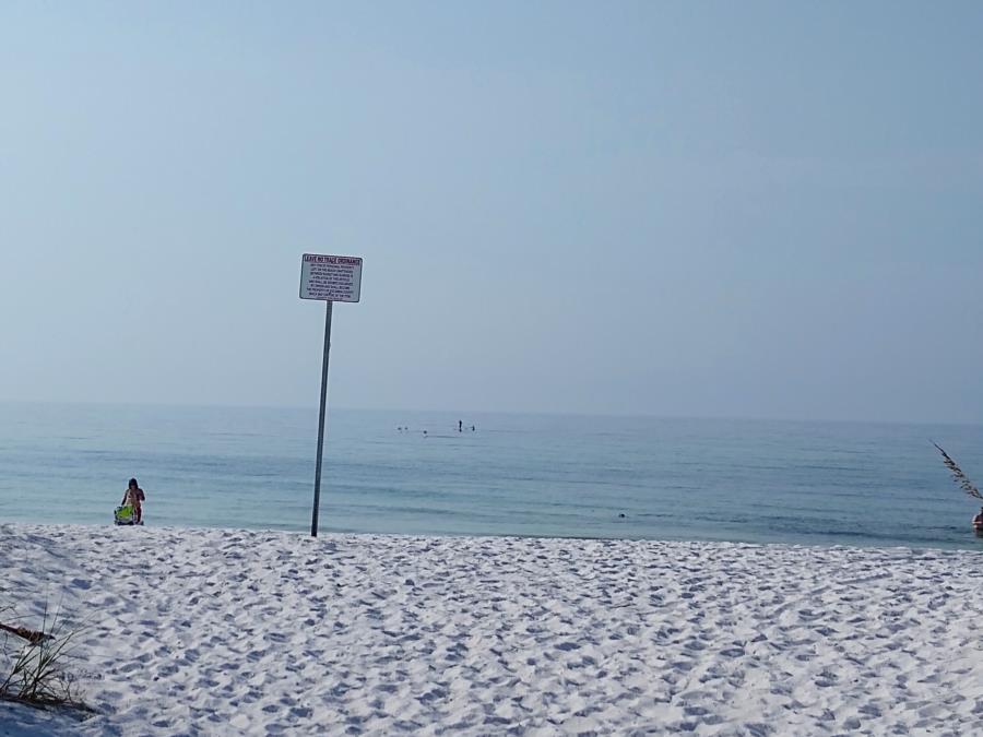 Off Navarre Beach Parking lot H Gulf of Mexico artificial reef tons of sand dollars and tropical fis