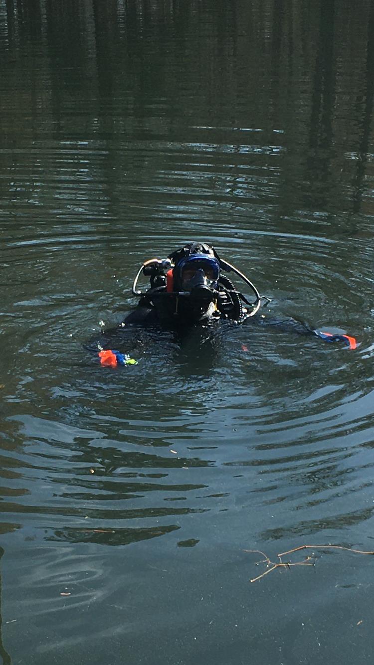 Pond diving