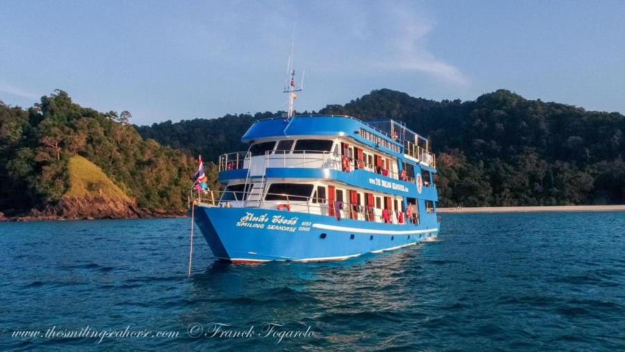 MV Smiling Seahorse