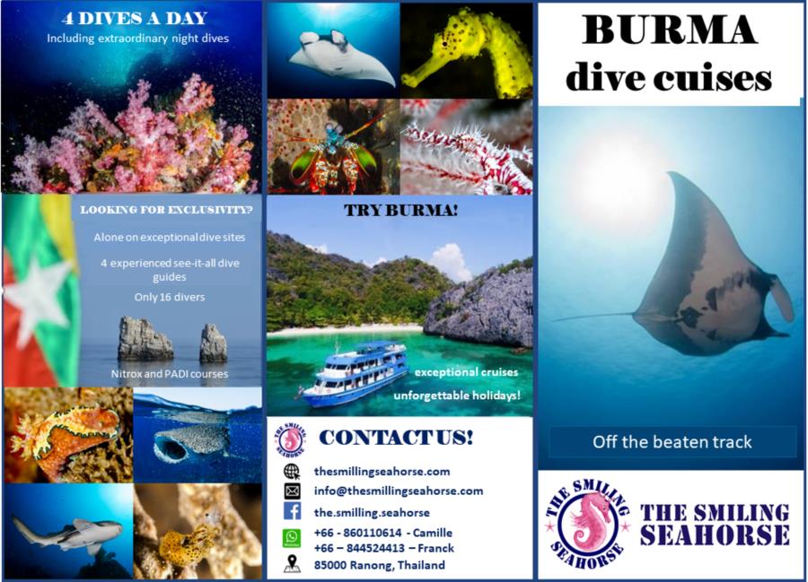 Try Burma diving!