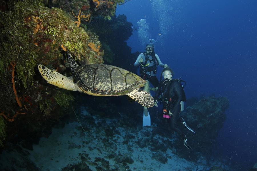 Cozumel